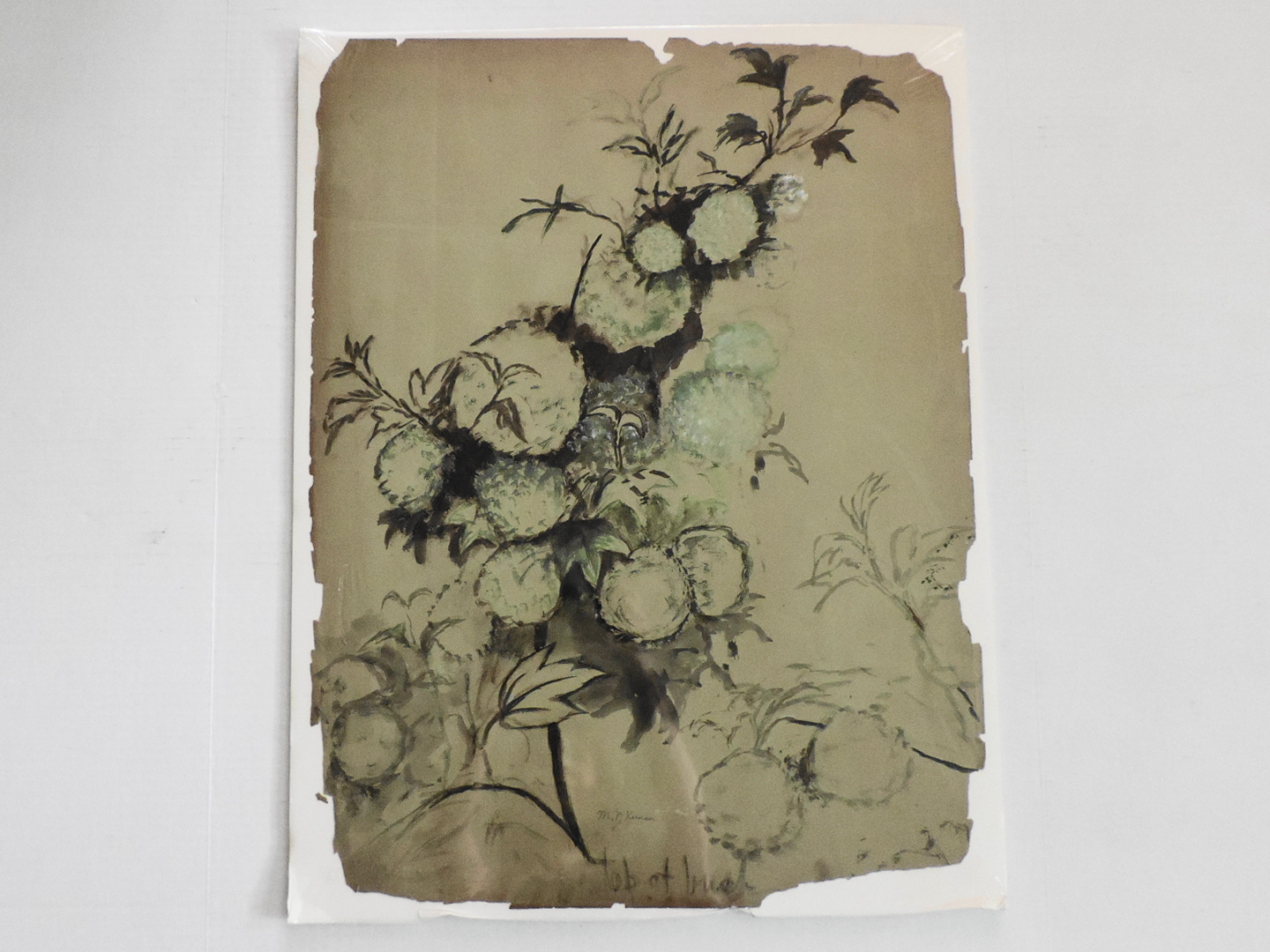 Mary V. Keenan Original Watercolor of Viburnum Blossoms