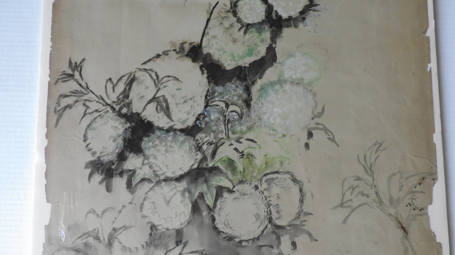 Mary V. Keenan Original Watercolor of Viburnum Blossoms