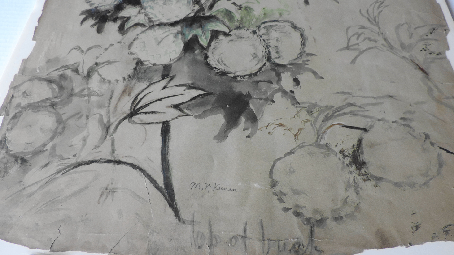 Mary V. Keenan Original Watercolor of Viburnum Blossoms