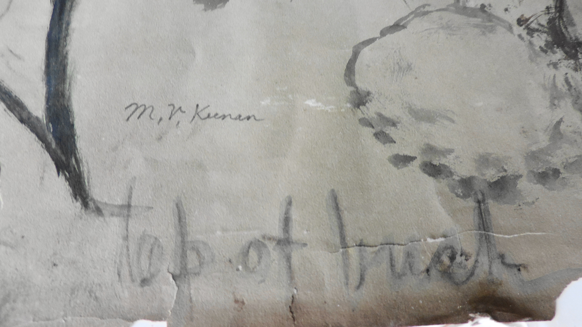 Mary V. Keenan Original Watercolor of Viburnum Blossoms