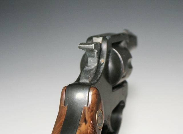 RG .22 Snubnose Revolver 