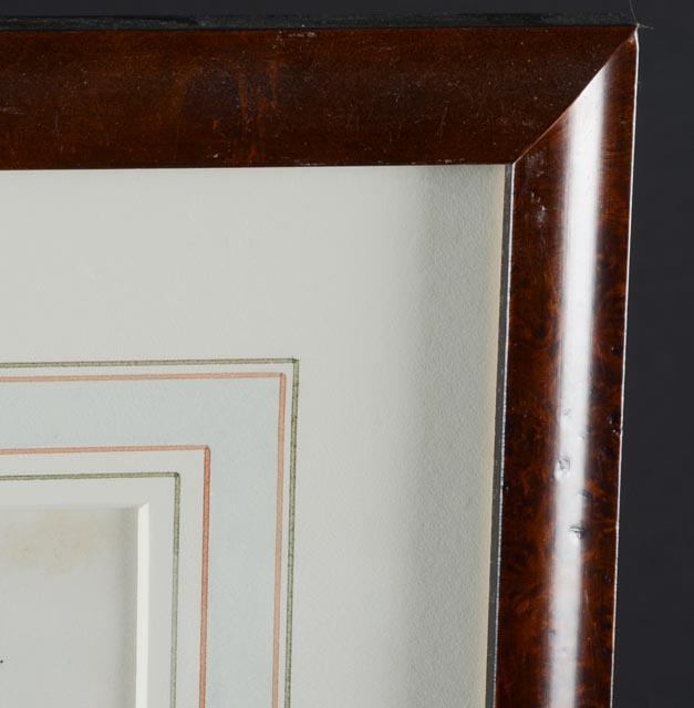 J.W. Hill Hand-Colored Litho from DeKay's "Birds of New York"