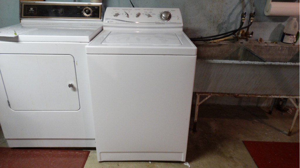 Maytag "Ensignia" Clothes Washer EBTH