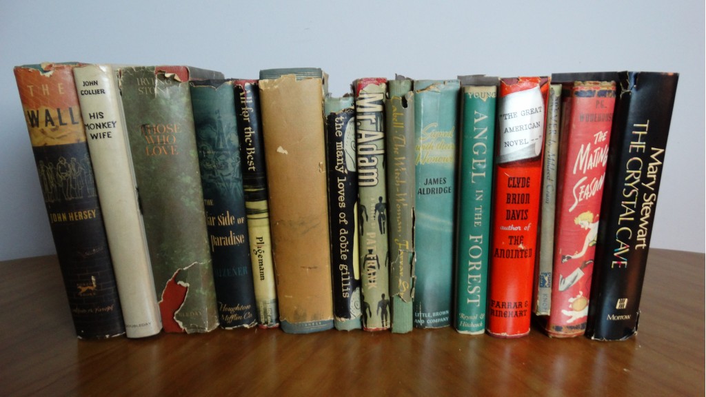 Variety of Vintage Fiction Books