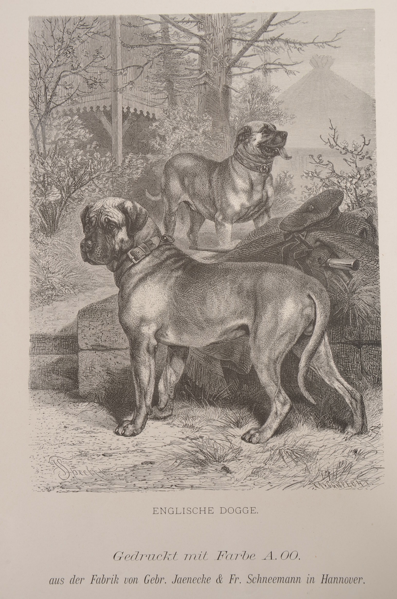 International Gallery Engravings 1886 George Barrie Publisher