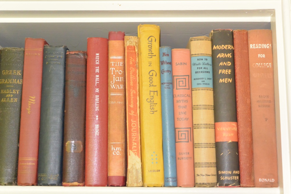 Three Shelves of Books Mostly Older Educational and Novels