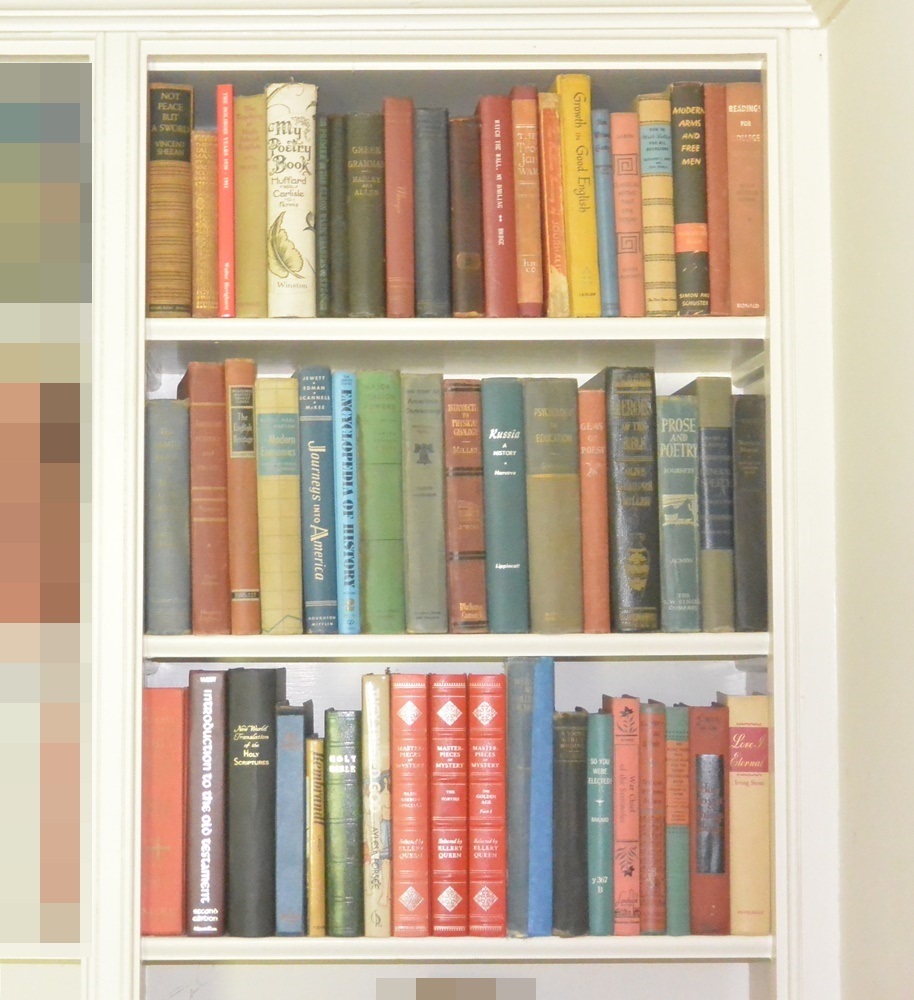 Three Shelves of Books Mostly Older Educational and Novels