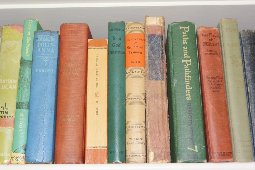 Three Bookshelves of Older and Modern Novels