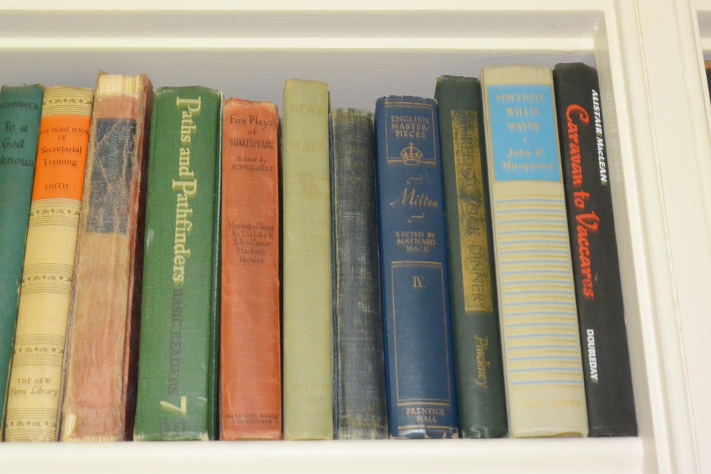Three Bookshelves of Older and Modern Novels