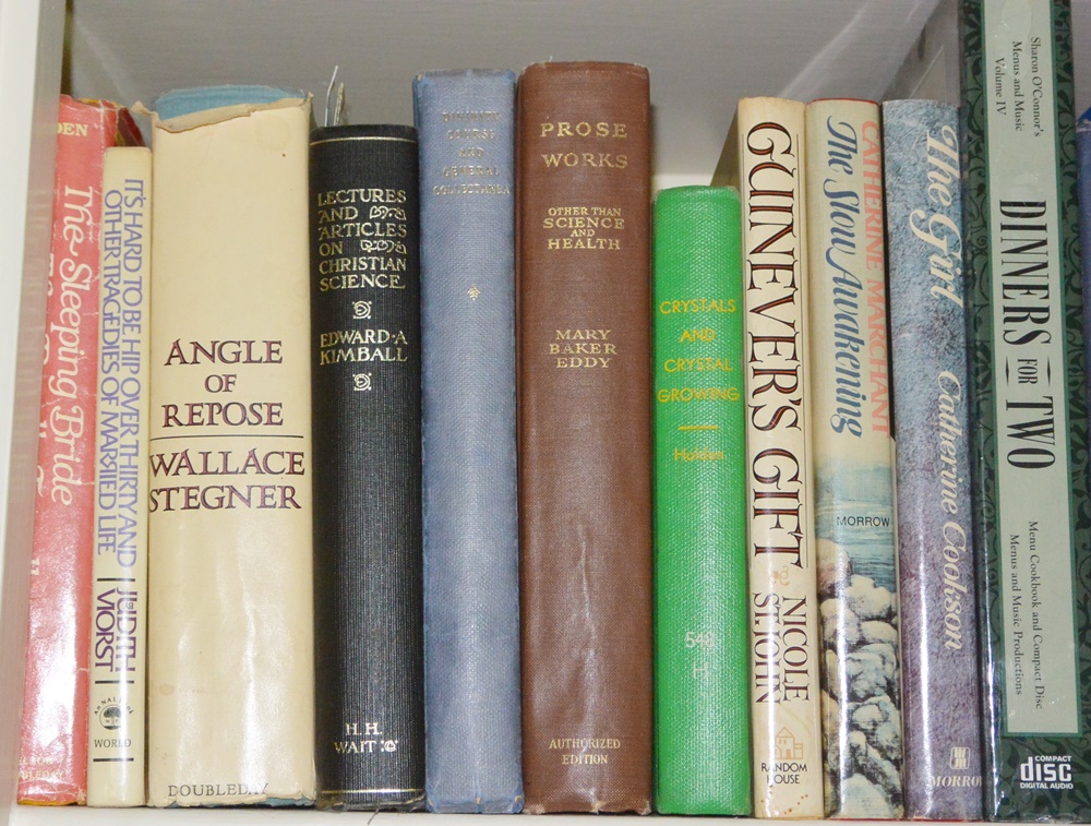 Three Bookshelves of Older and Modern Novels