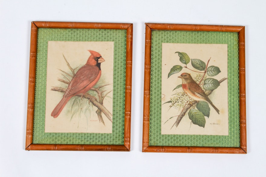Pair of Bird Prints by Ph. Gommer