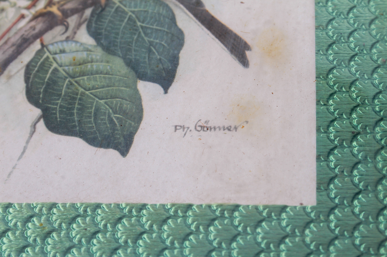 Pair of Bird Prints by Ph. Gommer