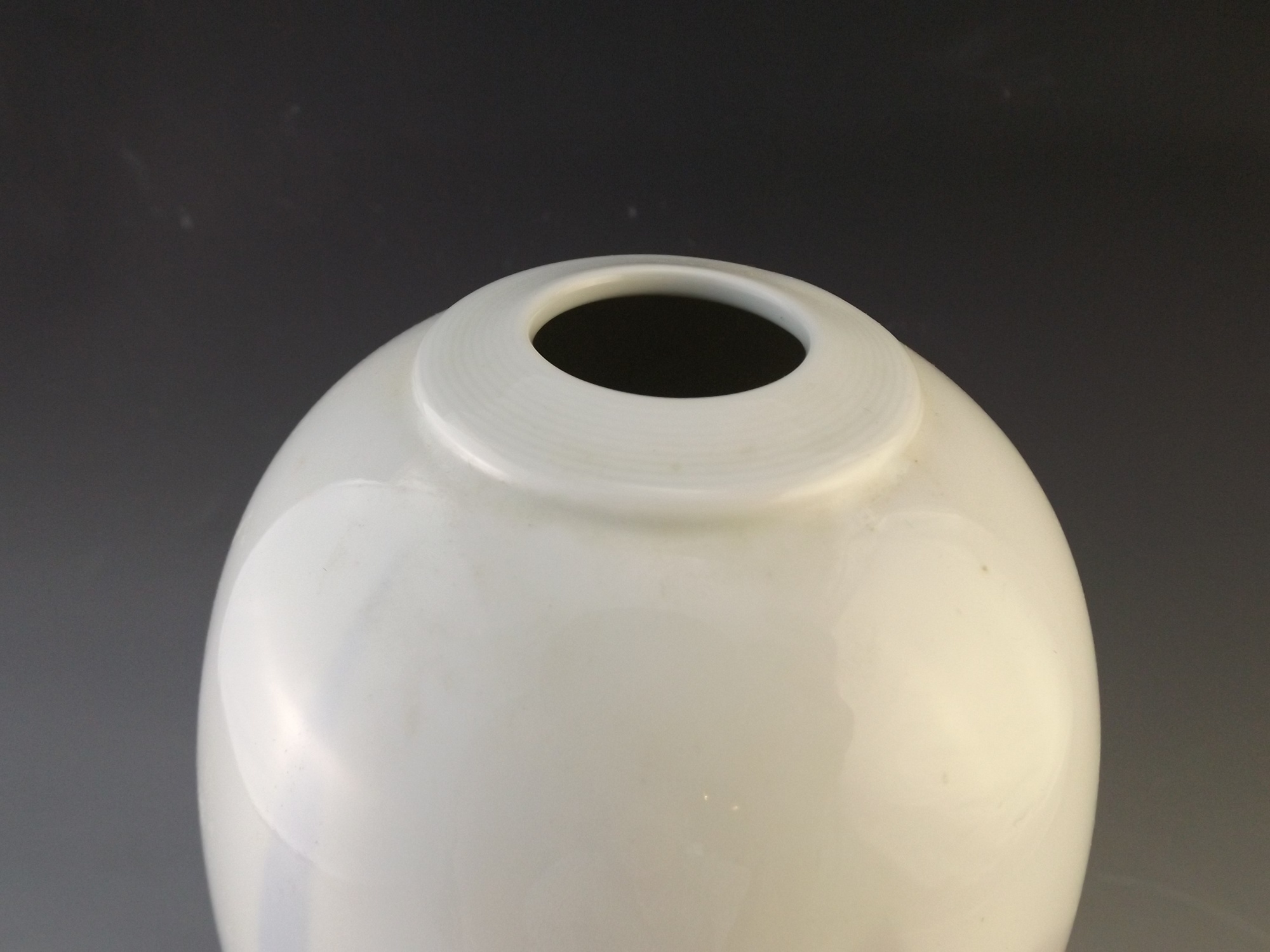 Japanese Porcelain Vase with Iris