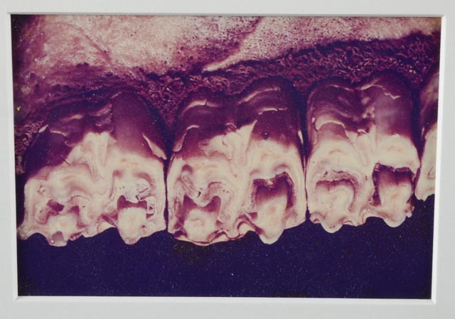 Original David Schmidlapp Photographic Diptych