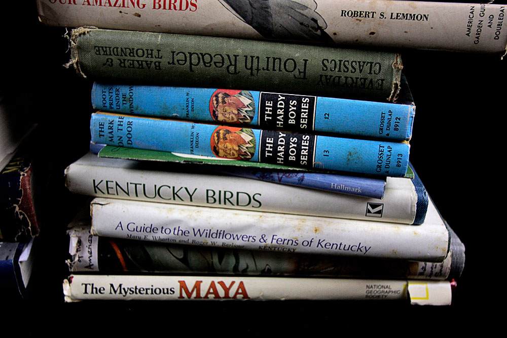 Modern Literature and Reference Book Lot