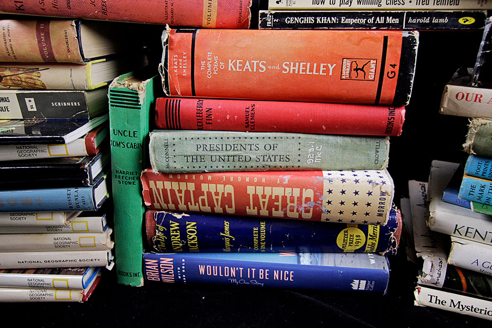 Modern Literature and Reference Book Lot