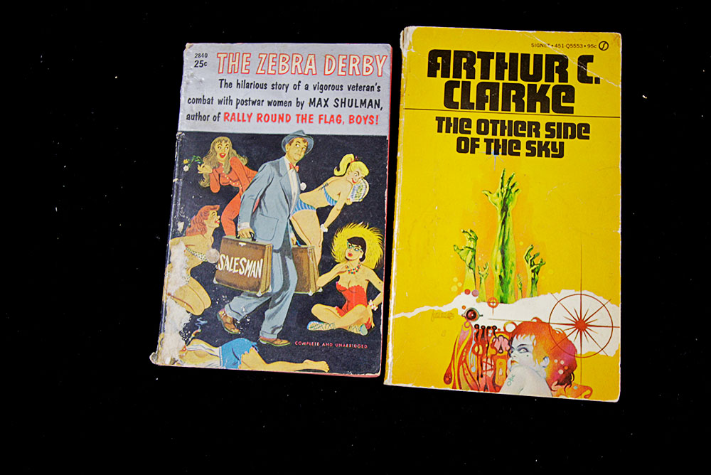 Modern Literature and Reference Book Lot