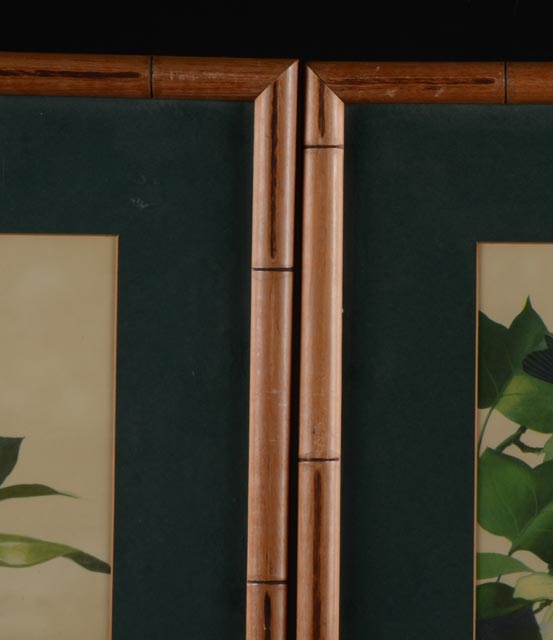 Pair of Prints by Listed Artist Roger Tory Peterson