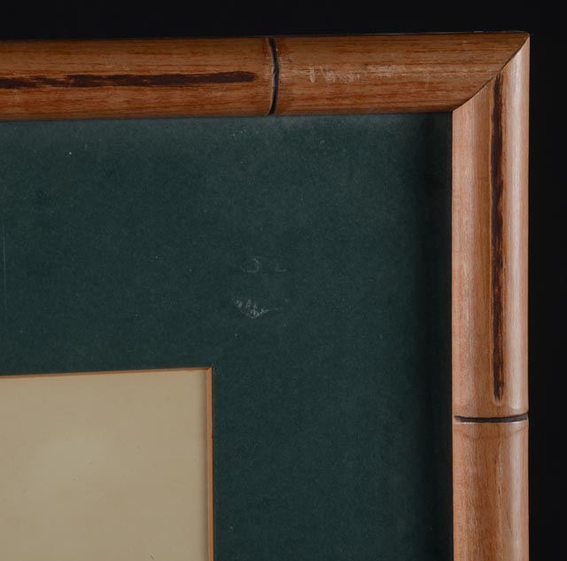 Pair of Prints by Listed Artist Roger Tory Peterson