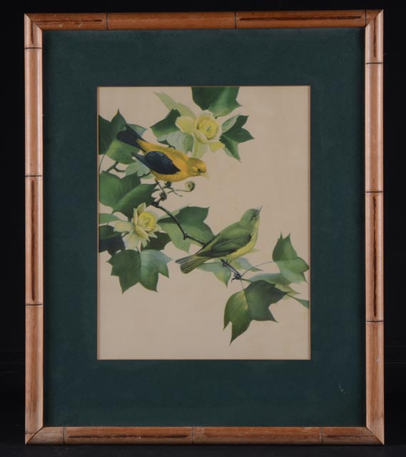 Pair of Prints by Listed Artist Roger Tory Peterson