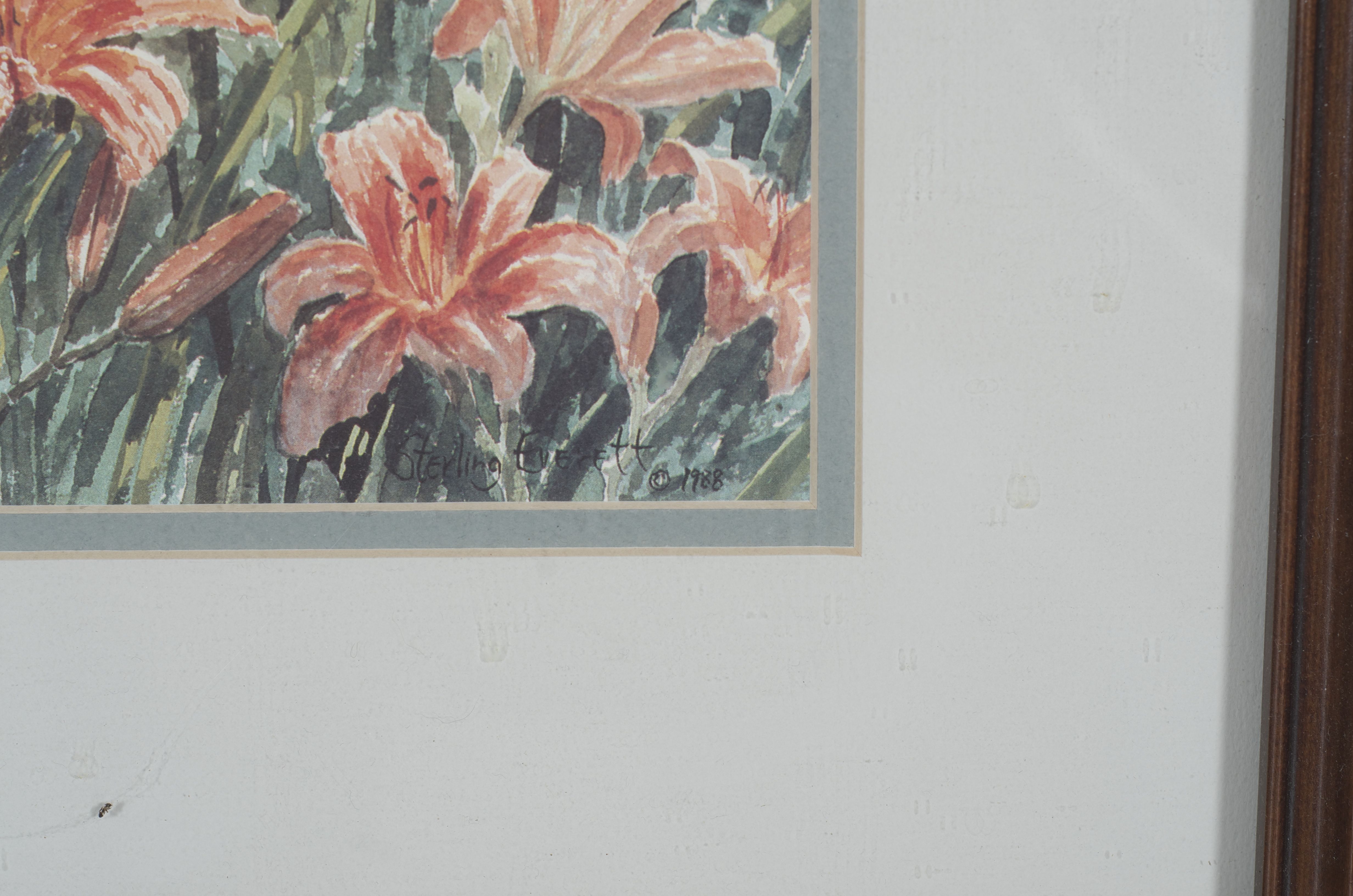 Collection of Four Framed Prints