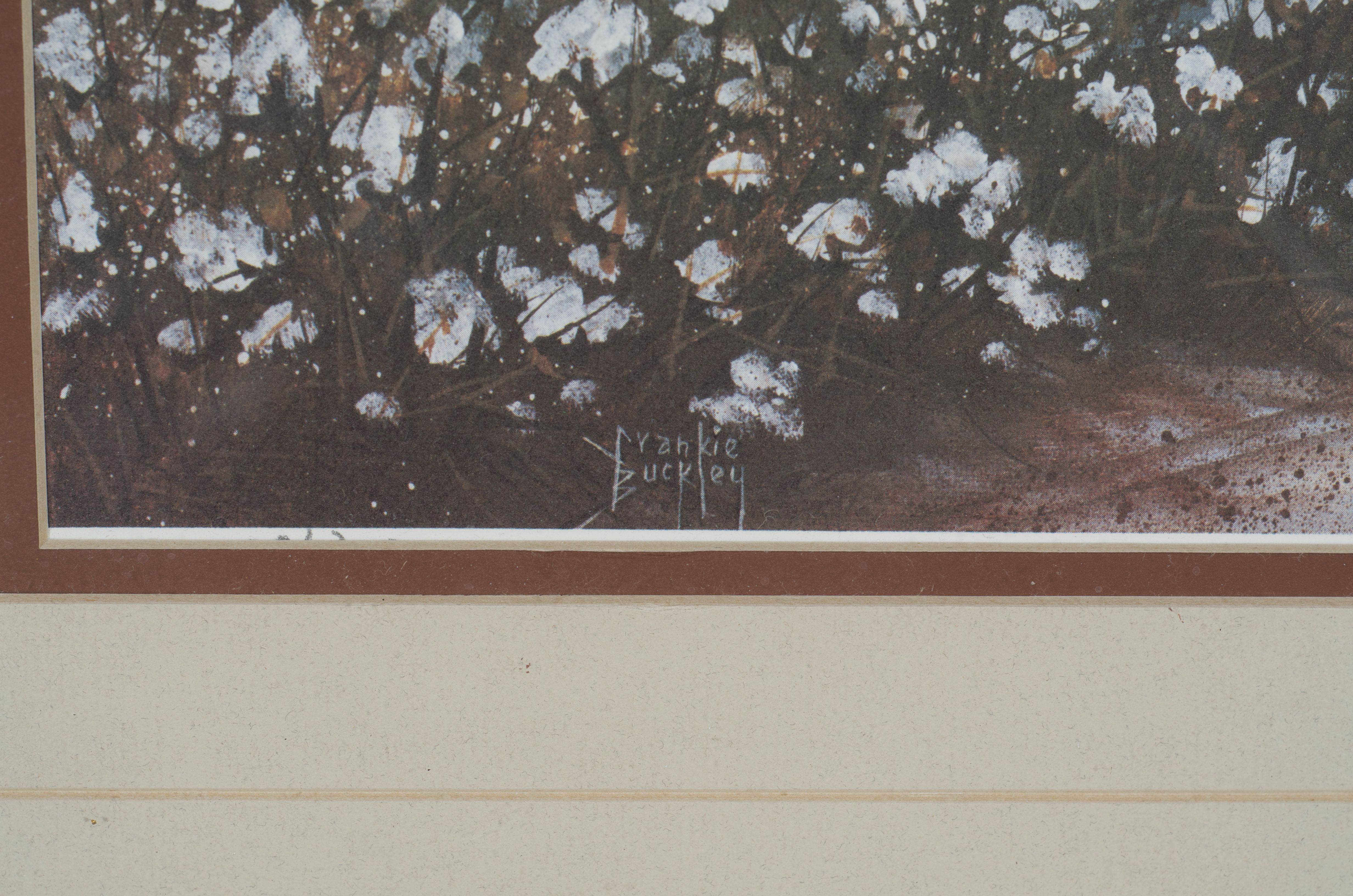 Collection of Four Framed Prints