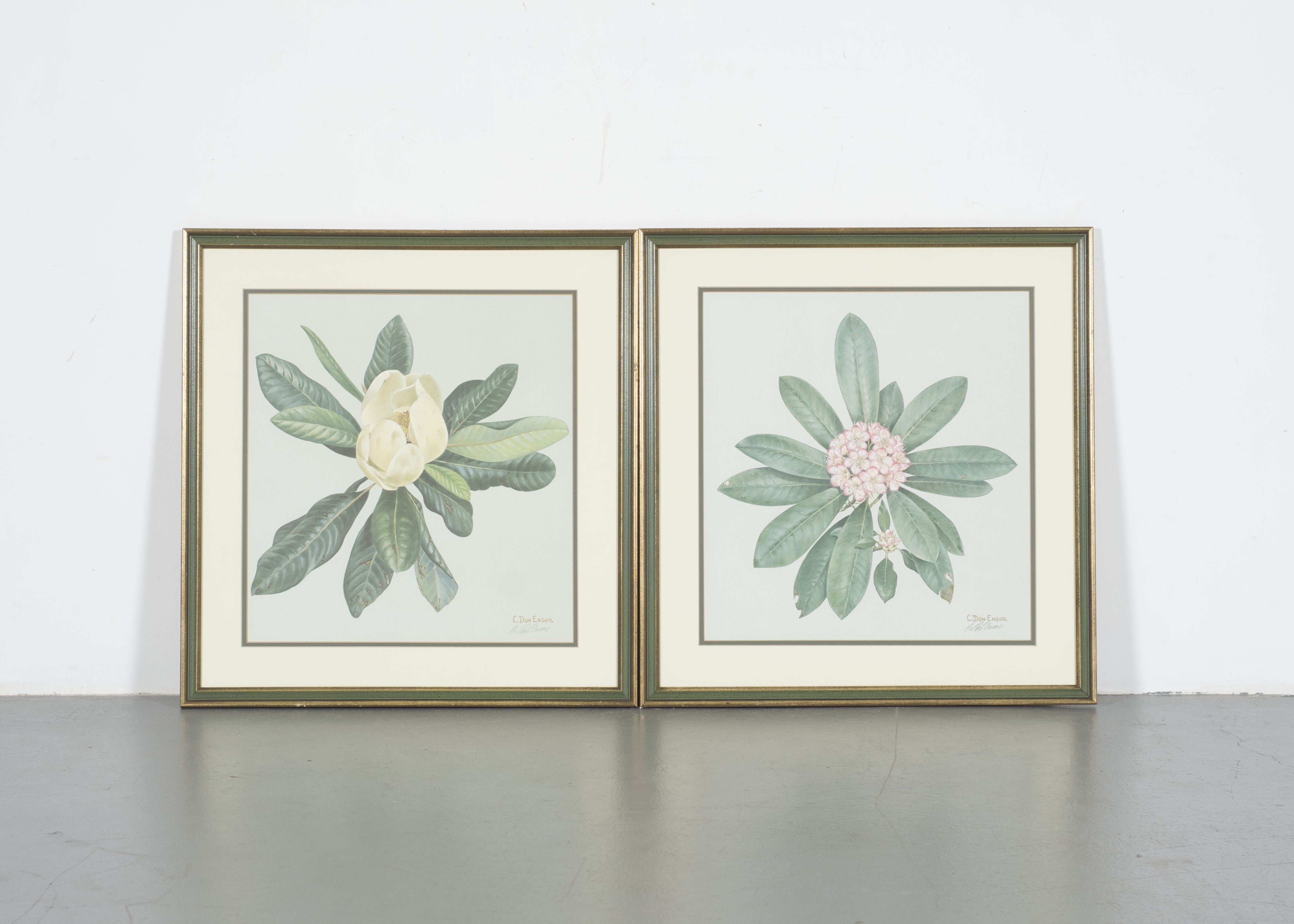 Limited Edition C. Don Ensor Flower Prints