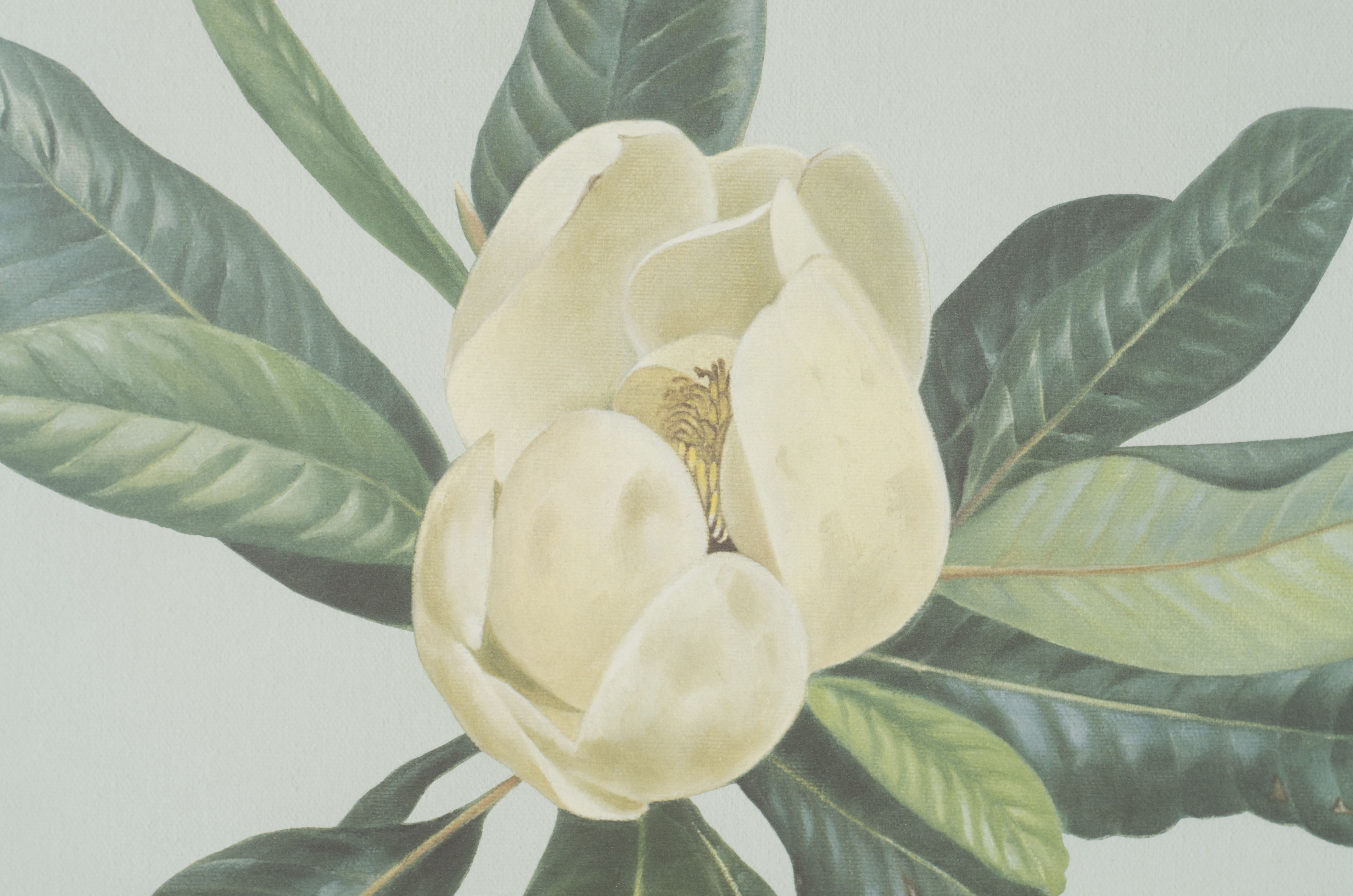 Limited Edition C. Don Ensor Flower Prints