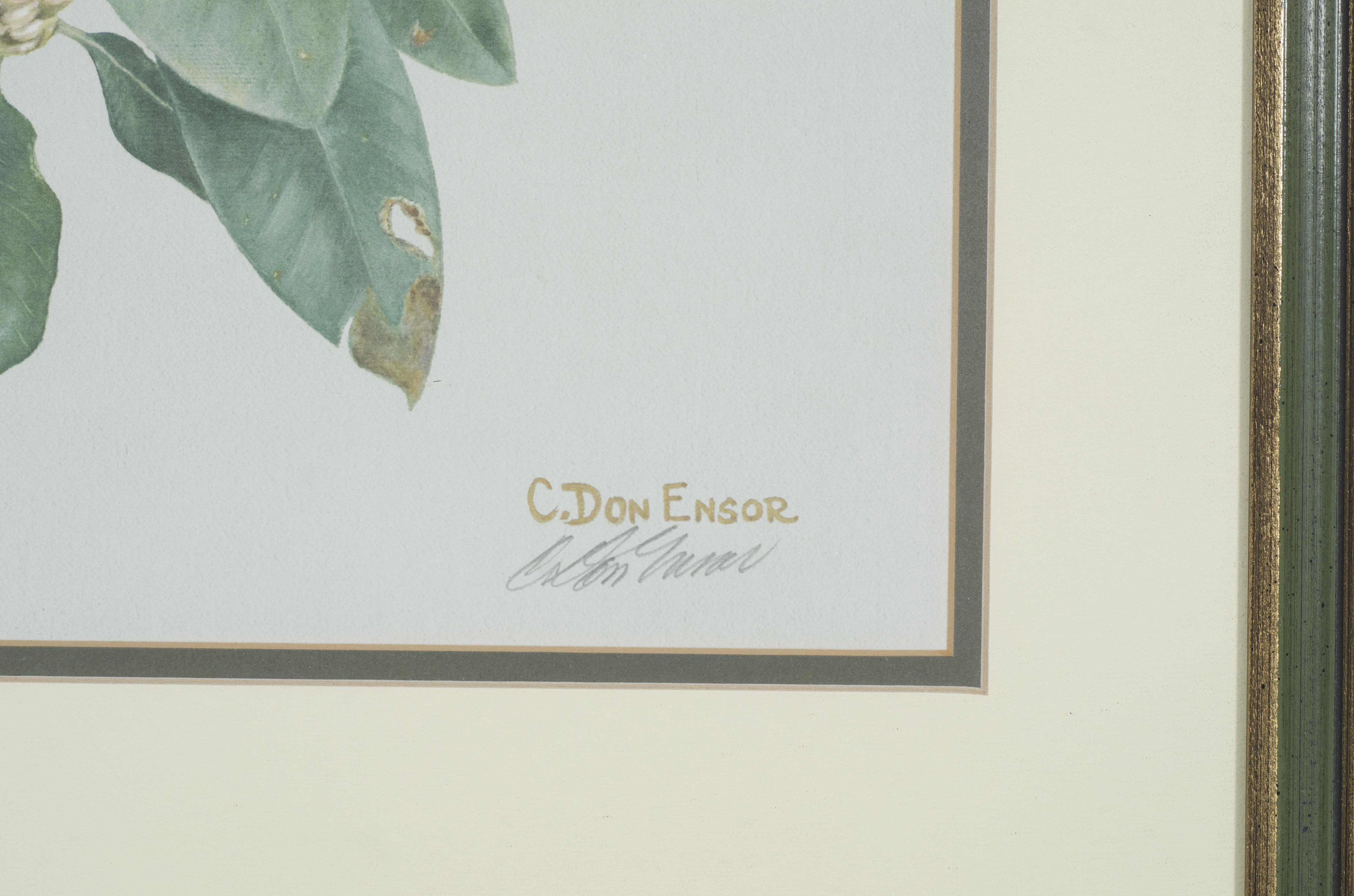 Limited Edition C. Don Ensor Flower Prints