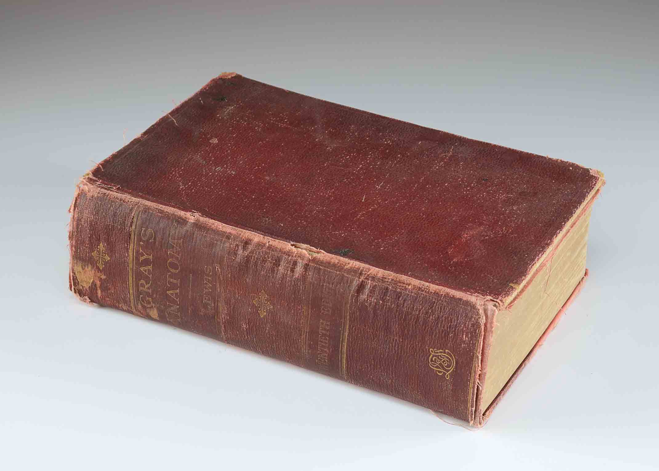 1918 Hardcover Edition of "Anatomy of The Human Body"