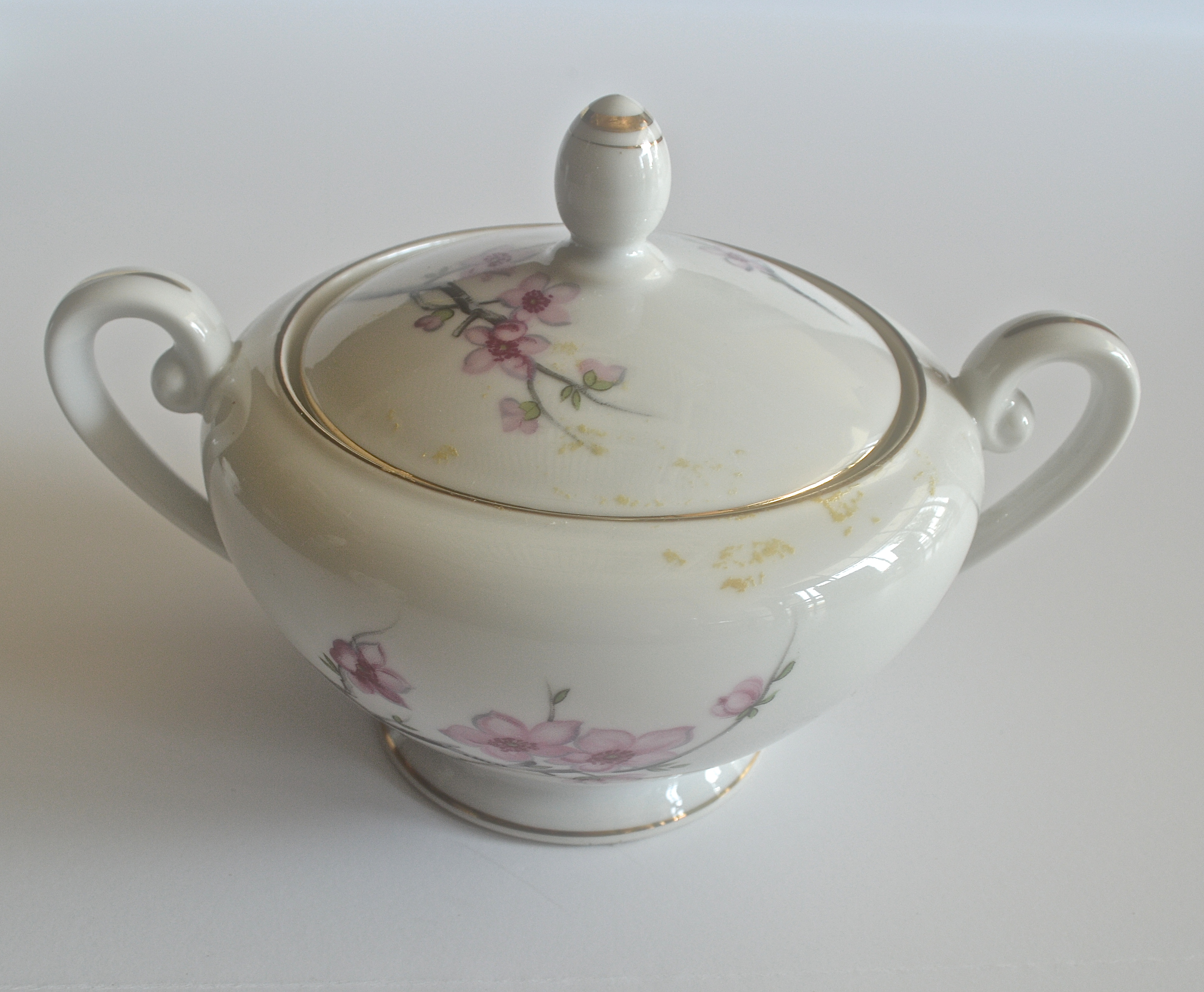 Japanese Cherry Blossom Diamond China