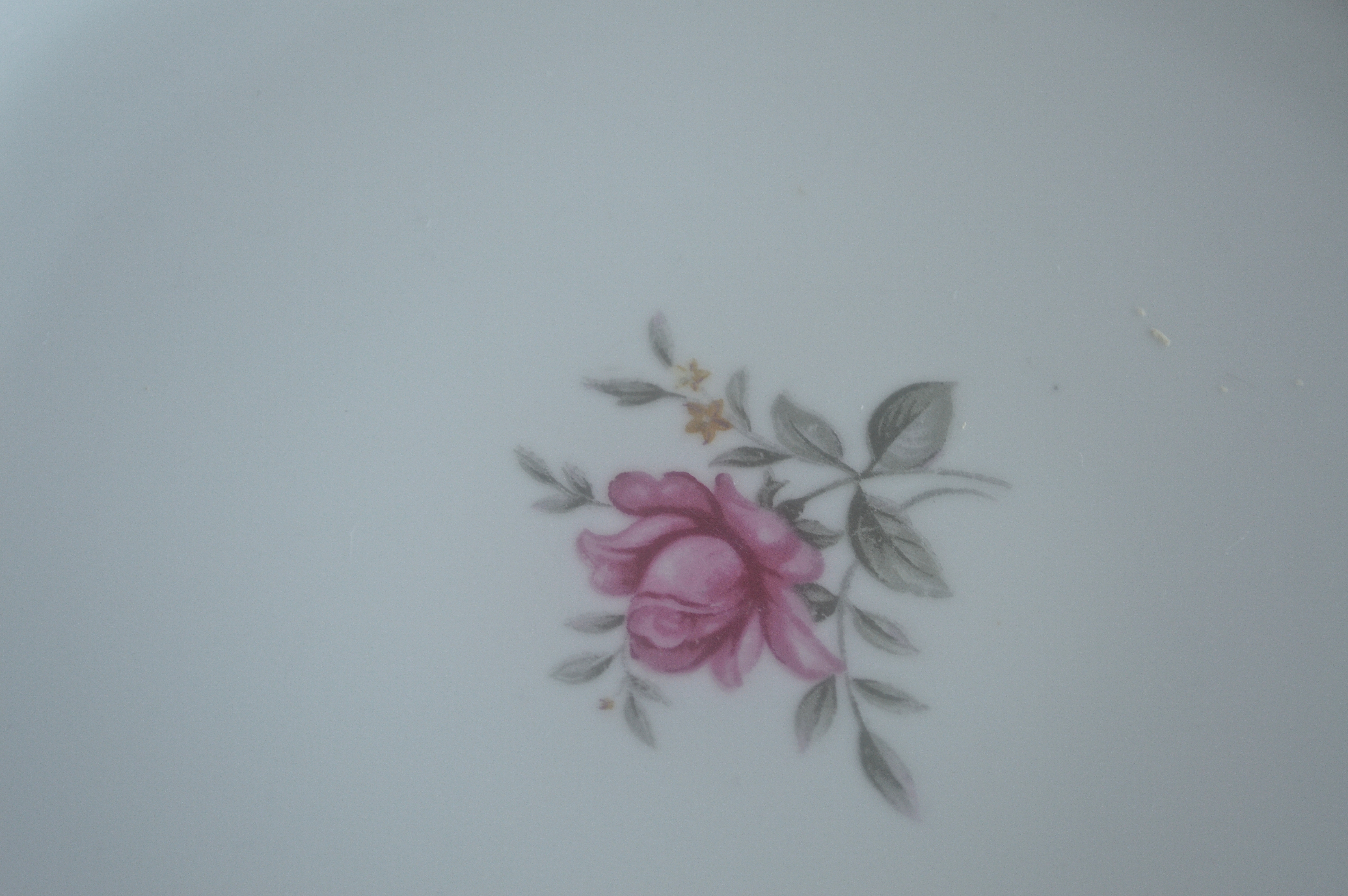 Japanese Cherry Blossom Diamond China