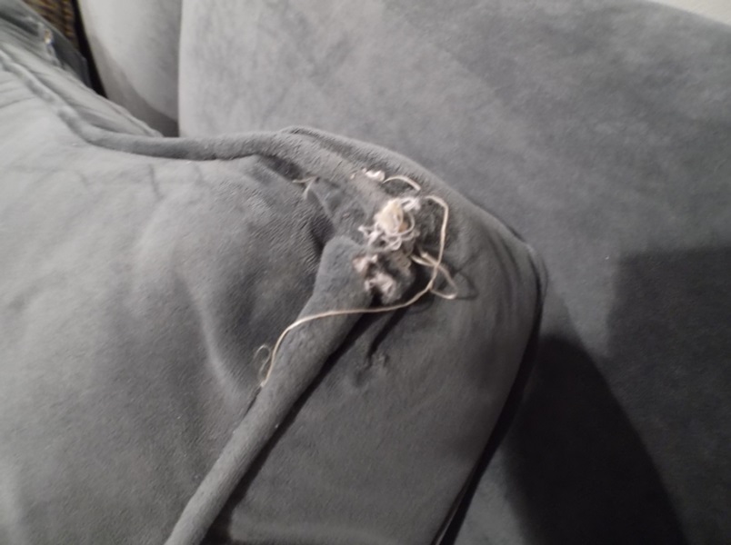 Rowe Four-Piece Curved Sectional Sofa