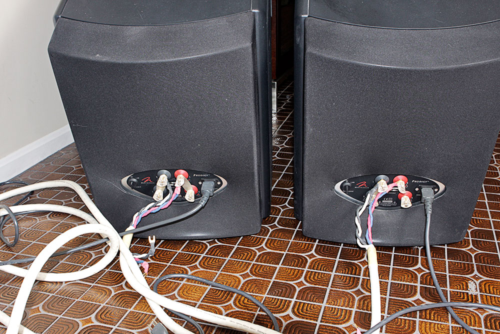 Pair of Martin Logan Prodigy Speakers