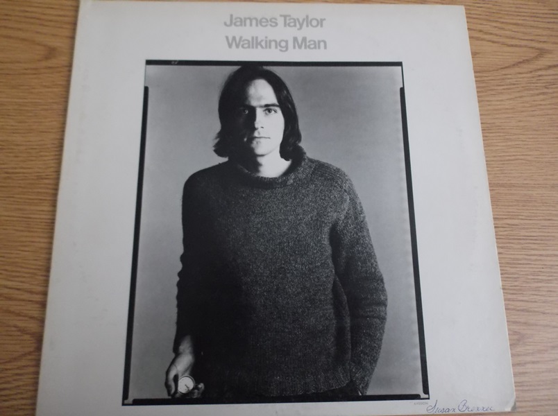 Assortment of 1970s Folk Rock Artist Vinyl Records