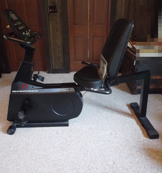 Diamondback 1100R Exercise Bike