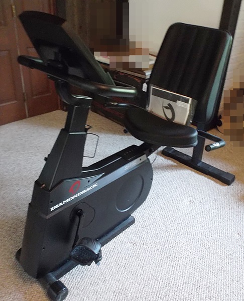 Diamondback 1100R Exercise Bike