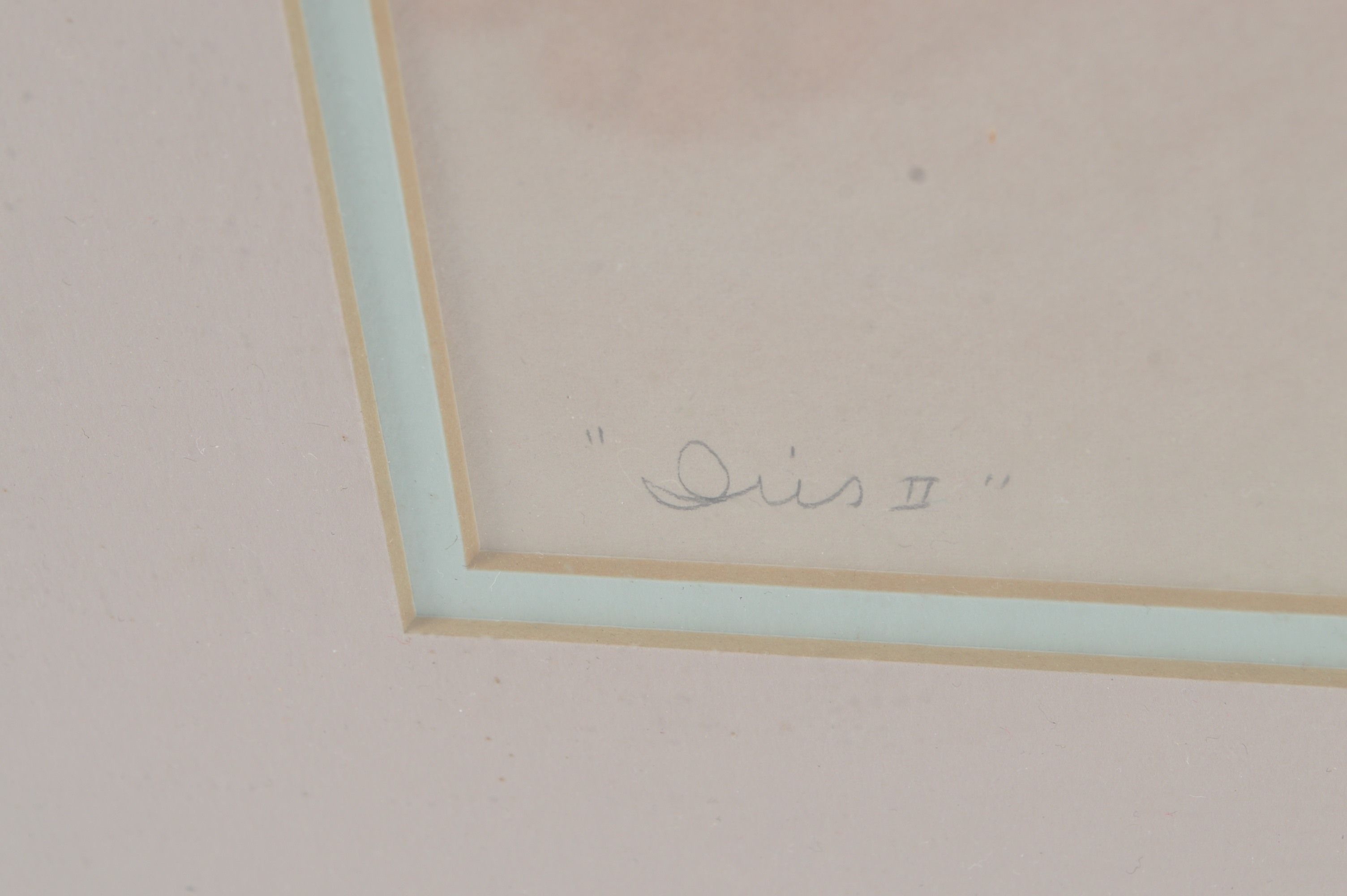 Vintage Painting of Irises, Signed "Andres" of Vanguard Studios