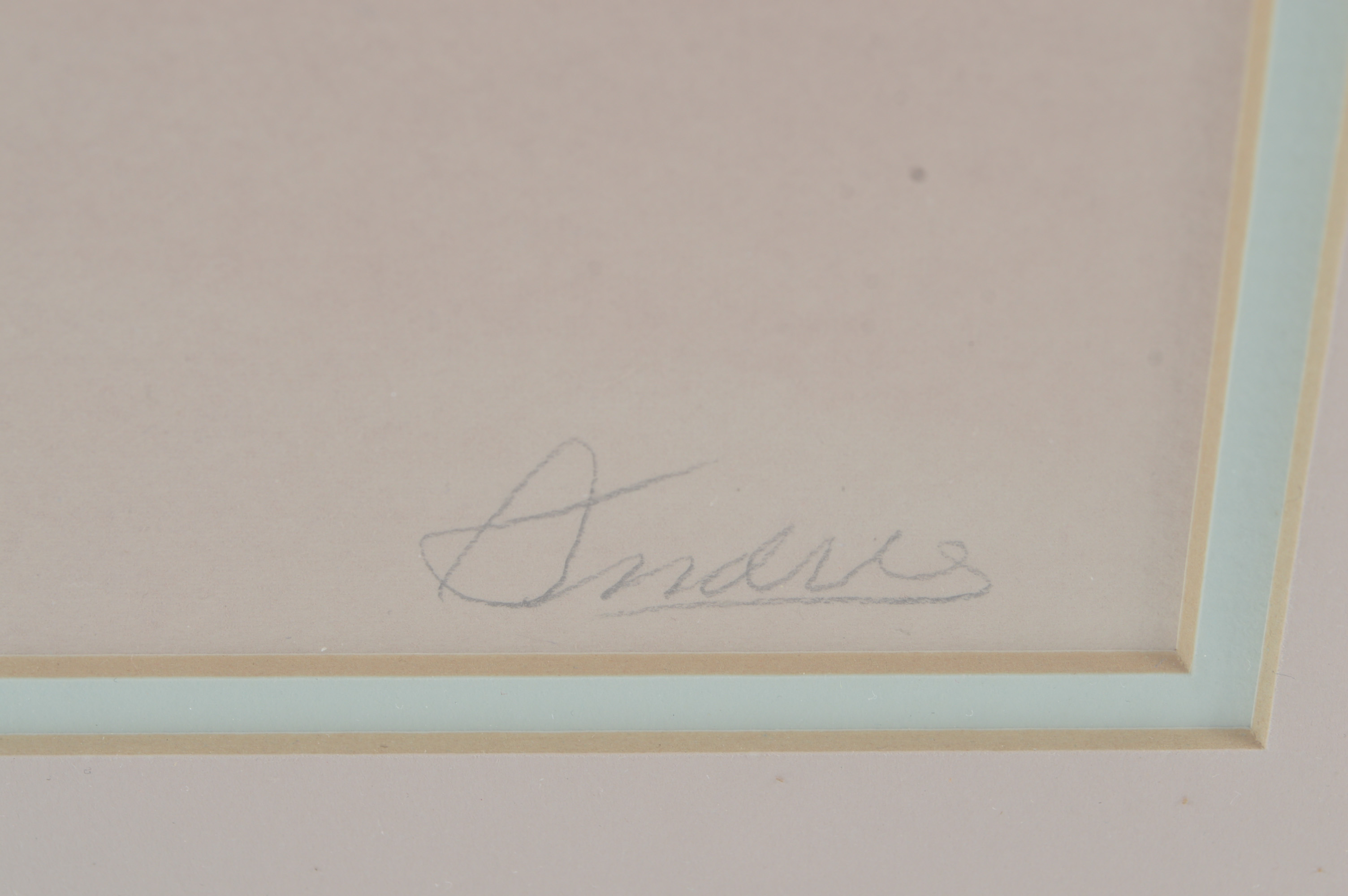 Vintage Painting of Irises, Signed "Andres" of Vanguard Studios