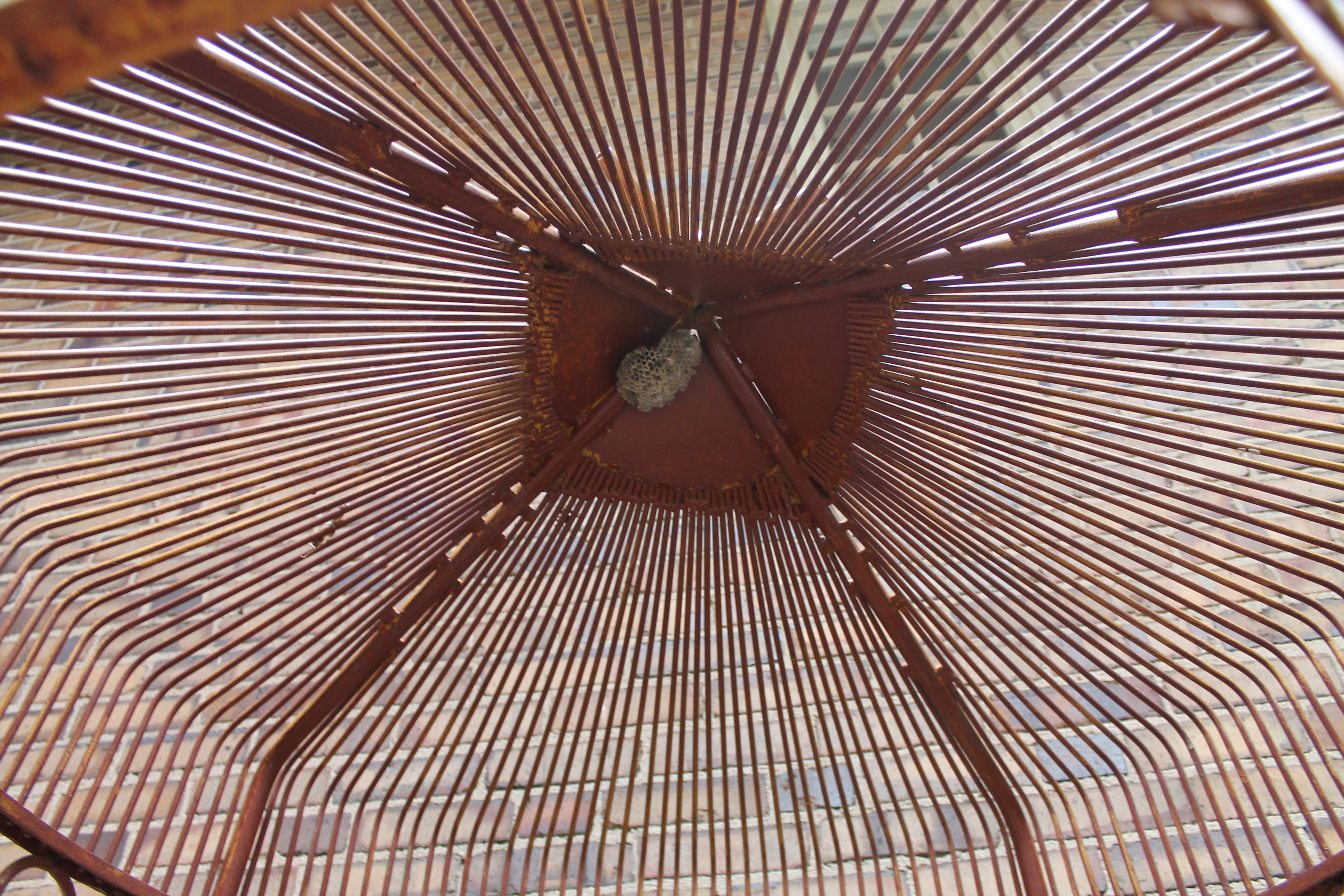 Large Metal Bird Cage