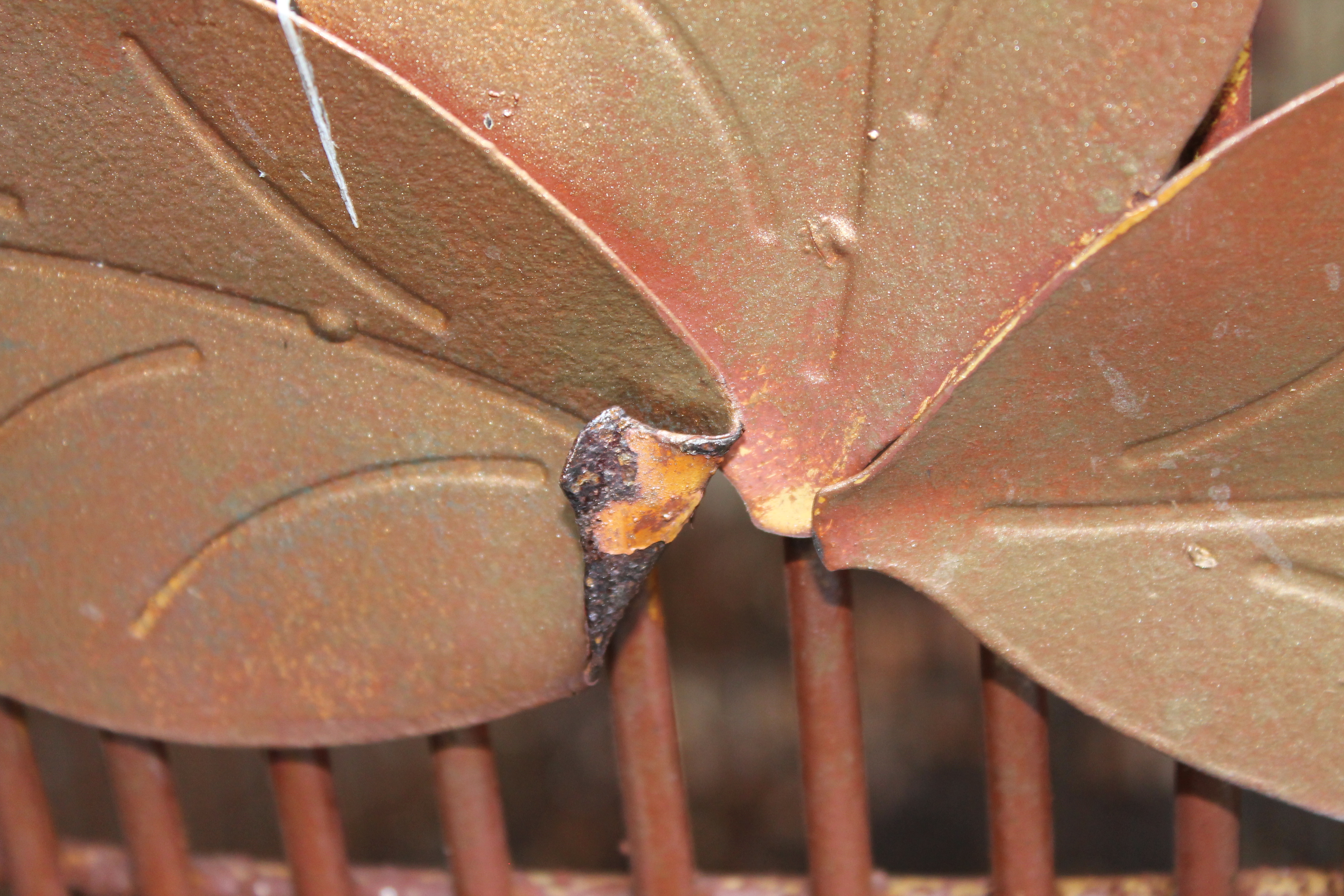 Large Metal Bird Cage