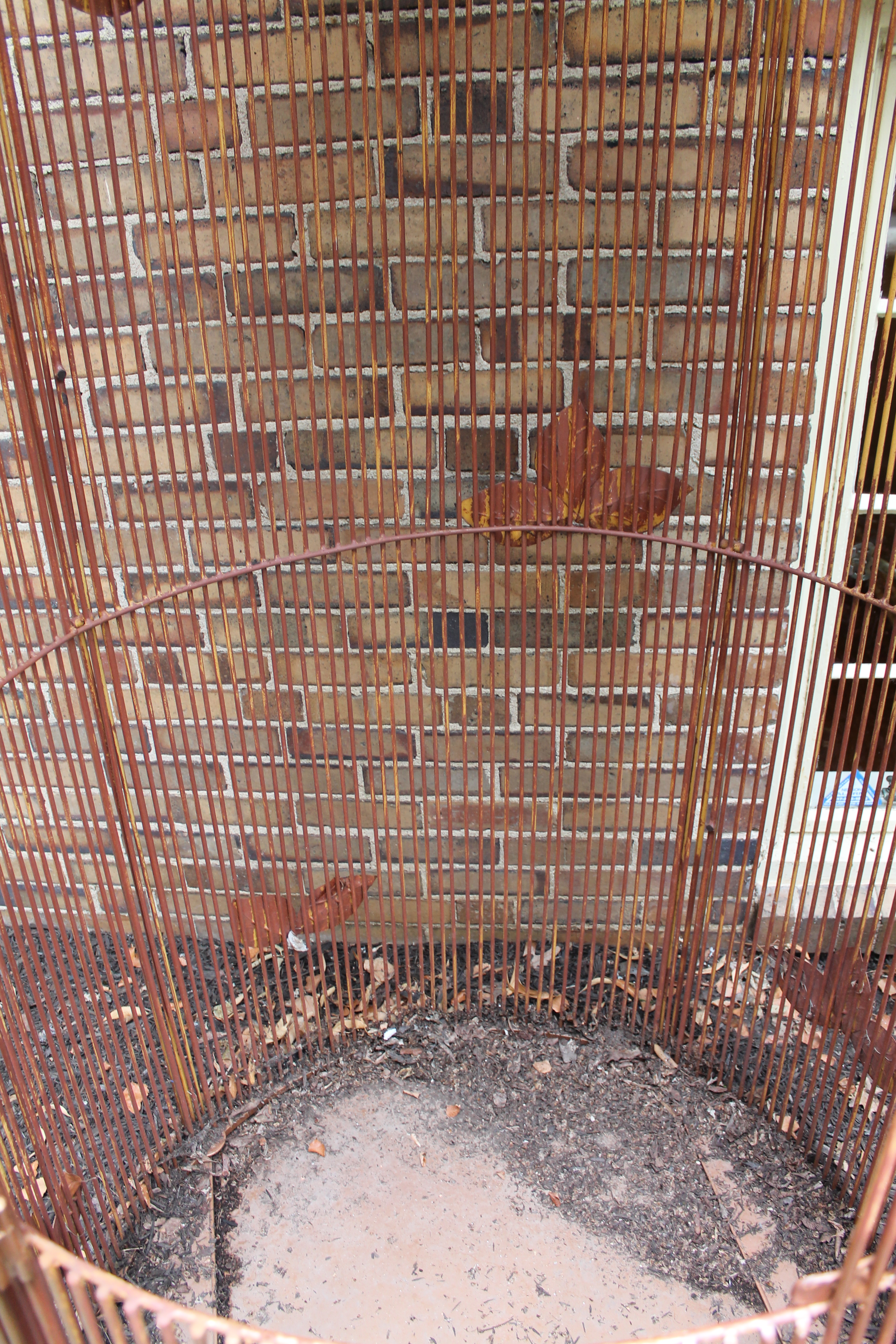 Large Metal Bird Cage