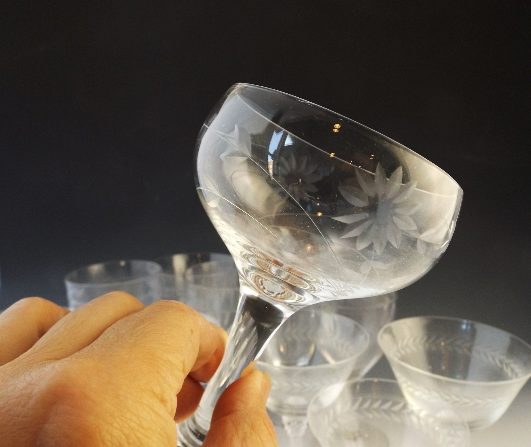 Etched Glass Stemware
