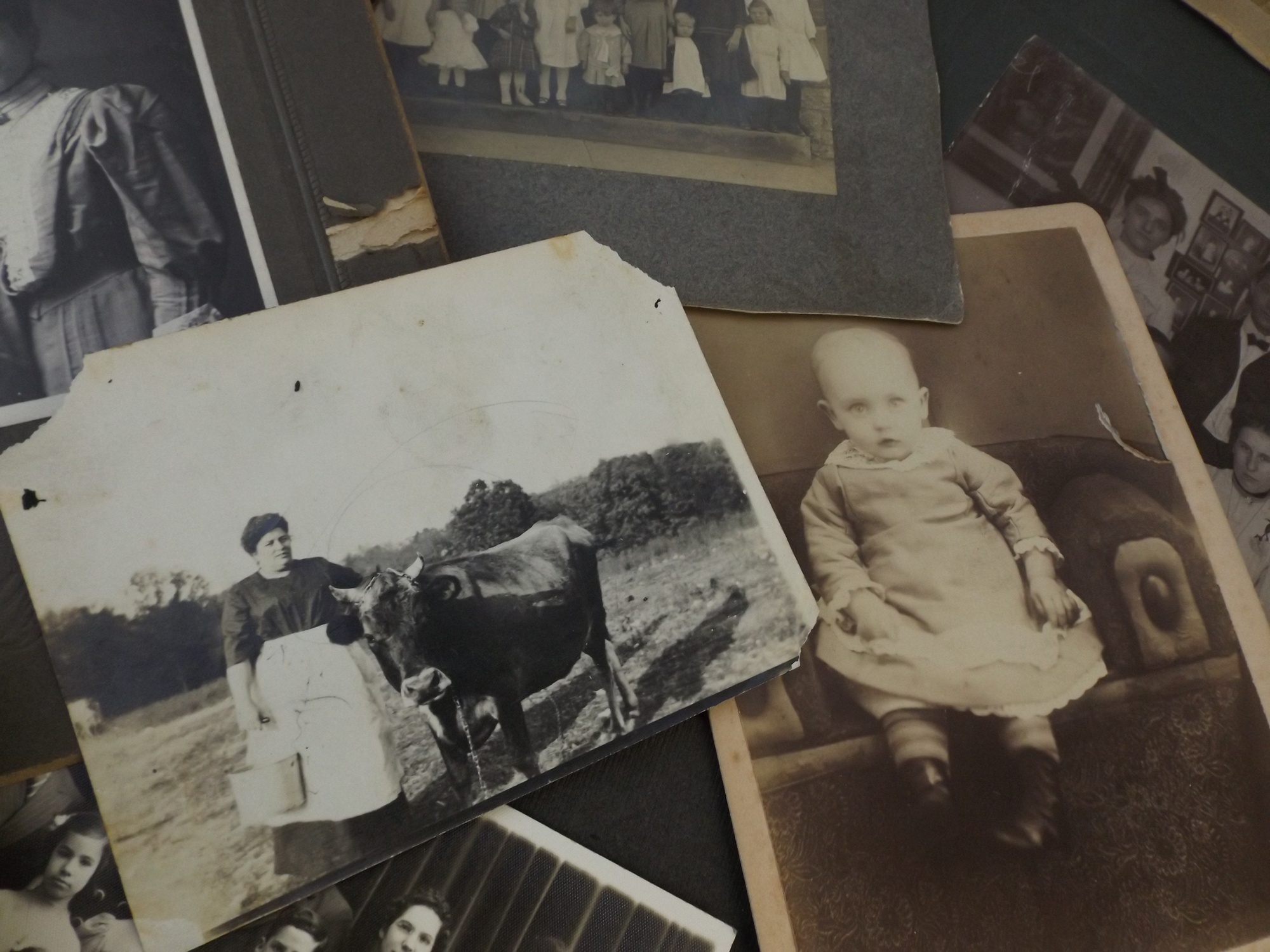 Vintage Ephemera Collection