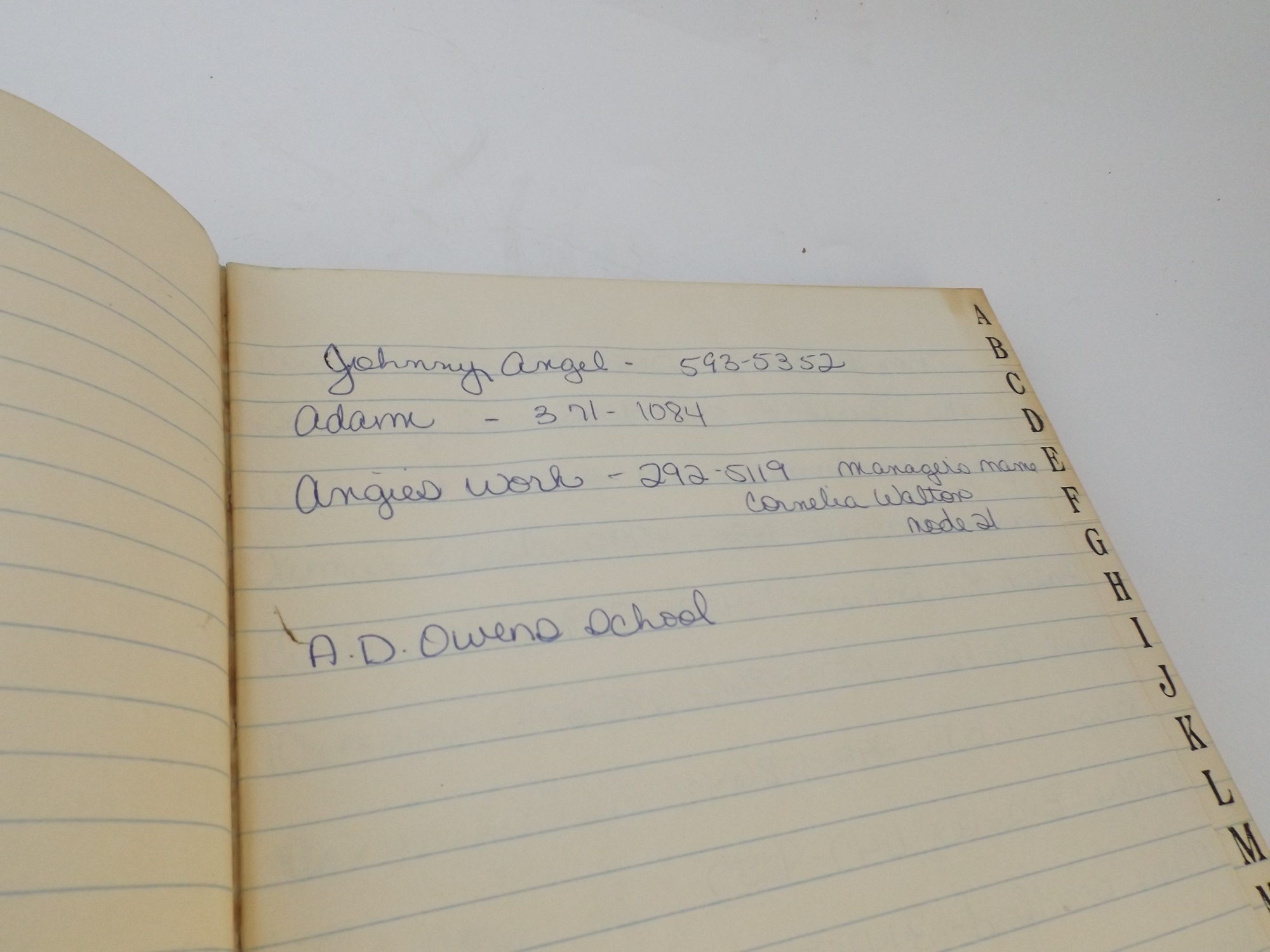 1930s Ledger and Journal