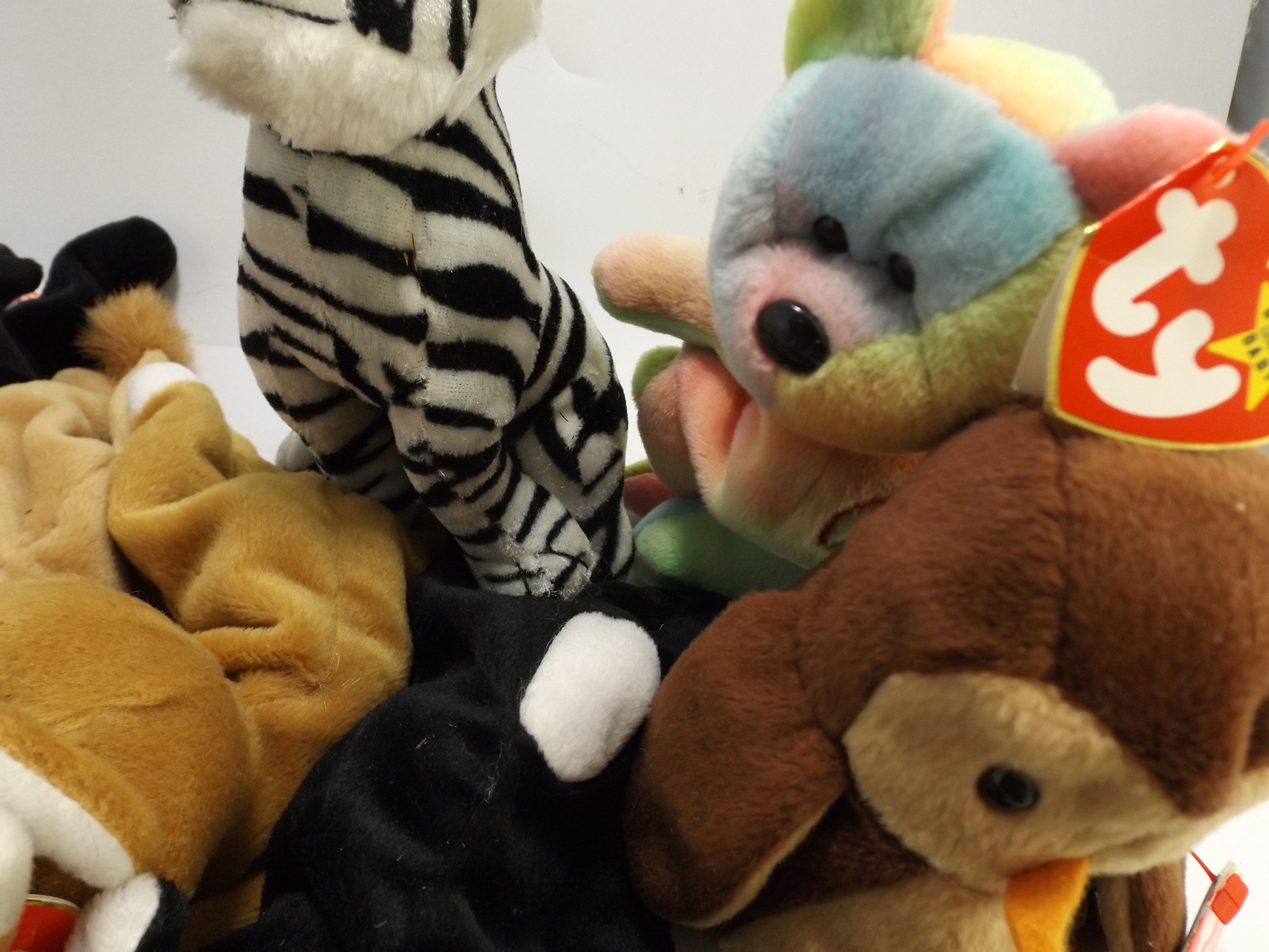 Ty Beanie Baby Collection
