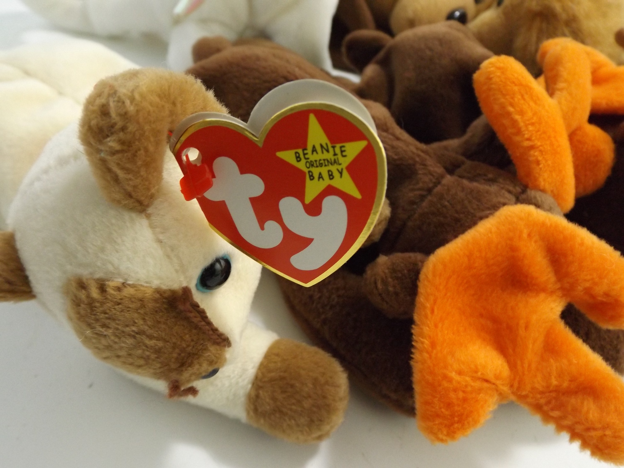 Ty Beanie Baby Collection