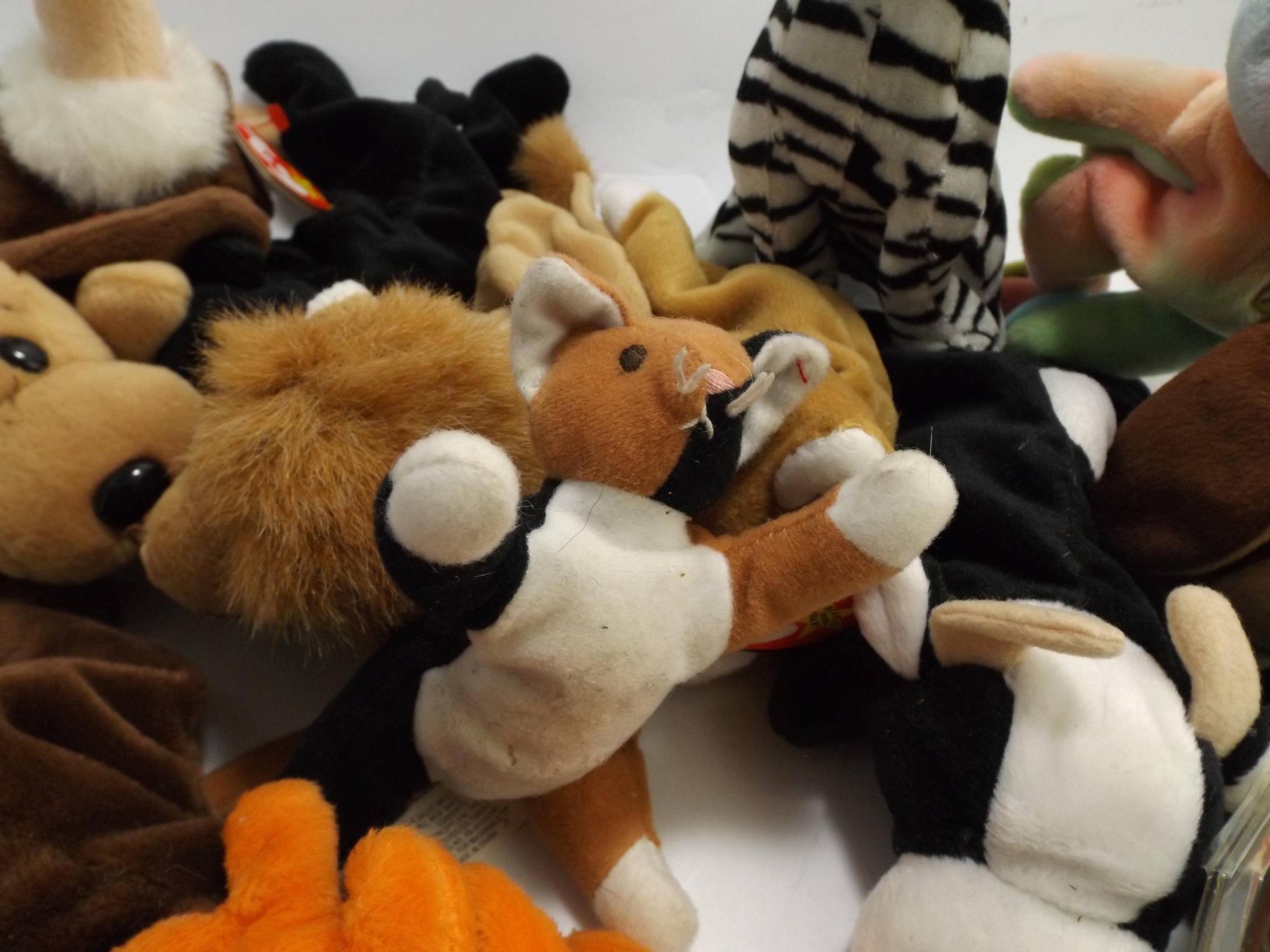 Ty Beanie Baby Collection