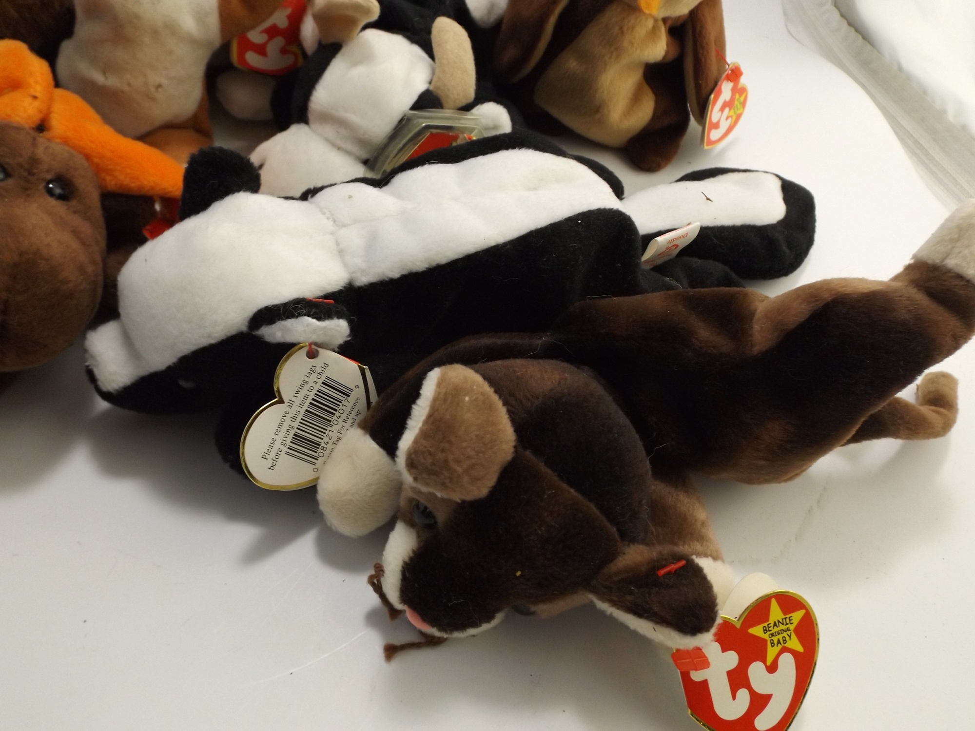 Ty Beanie Baby Collection