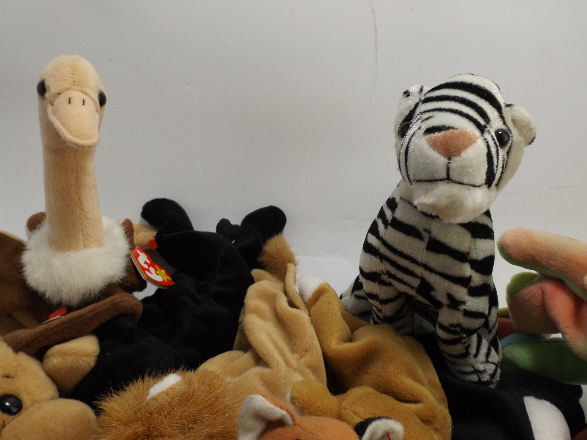 Ty Beanie Baby Collection
